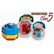 Incubator Cleo5 electric pentru oua incalzire electrica